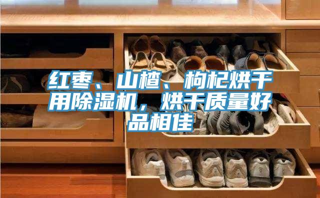 紅棗、山楂、枸杞烘干用除濕機(jī)，烘干質(zhì)量好品相佳