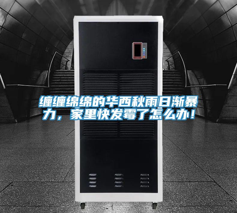 纏纏綿綿的華西秋雨日漸暴力，家里快發(fā)霉了怎么辦！