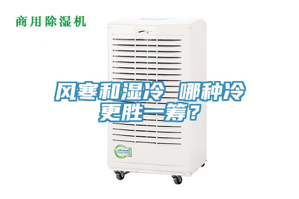 風(fēng)寒和濕冷 哪種冷更勝一籌？