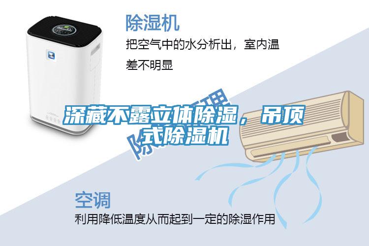 深藏不露立體除濕，吊頂式除濕機(jī)