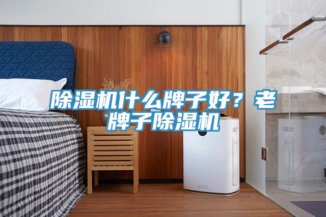 除濕機(jī)什么牌子好？老牌子除濕機(jī)