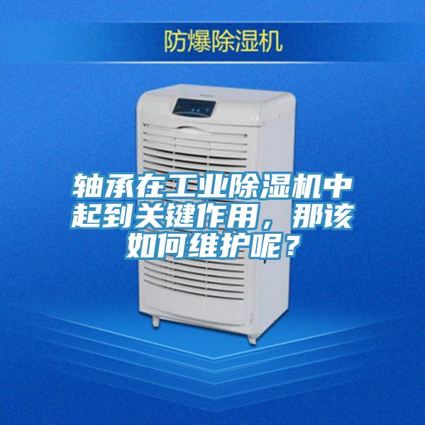 軸承在工業(yè)除濕機(jī)中起到關(guān)鍵作用，那該如何維護(hù)呢？