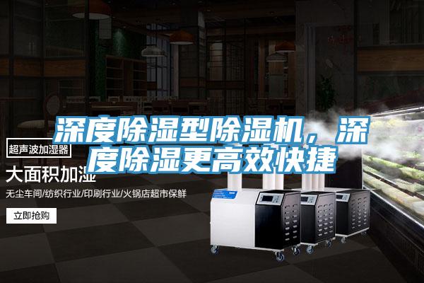 深度除濕型除濕機(jī)，深度除濕更高效快捷