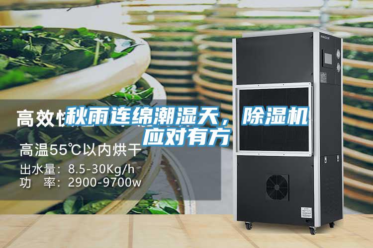 秋雨連綿潮濕天，除濕機應對有方