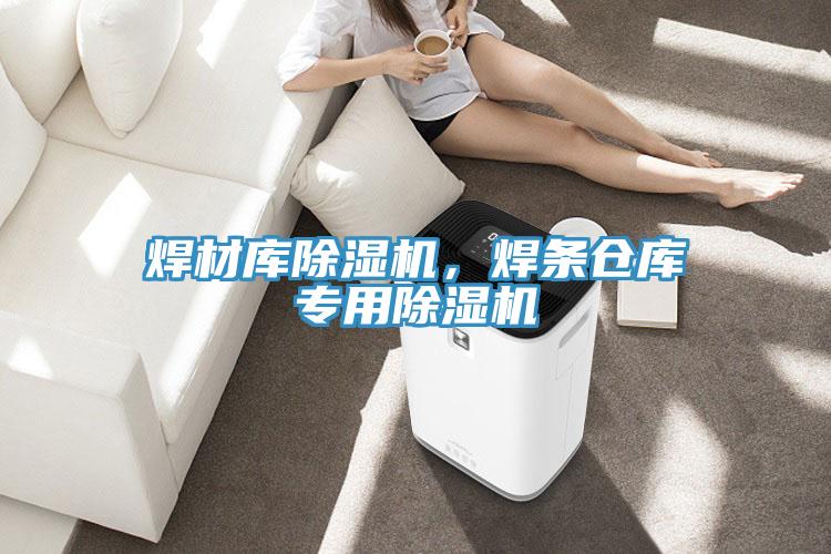 焊材庫除濕機，焊條倉庫專用除濕機