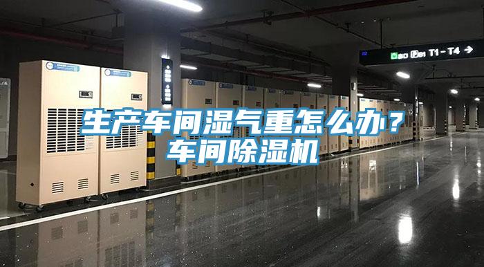 生產(chǎn)車間濕氣重怎么辦？車間除濕機(jī)