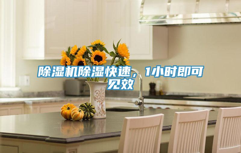 除濕機(jī)除濕快速，1小時(shí)即可見(jiàn)效