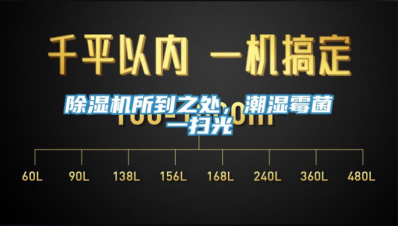 除濕機(jī)所到之處，潮濕霉菌一掃光