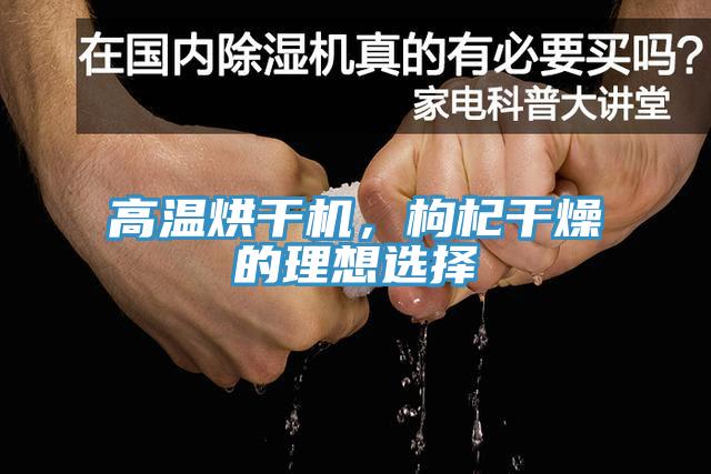 高溫烘干機，枸杞干燥的理想選擇