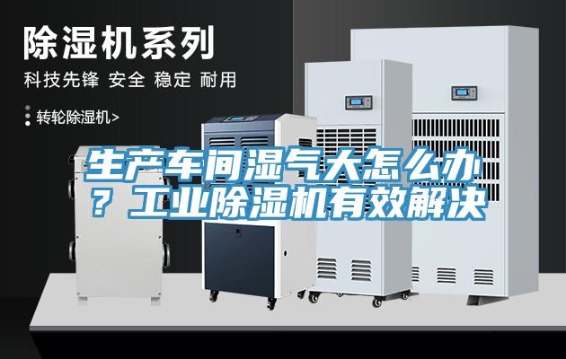 生產車間濕氣大怎么辦？工業(yè)除濕機有效解決