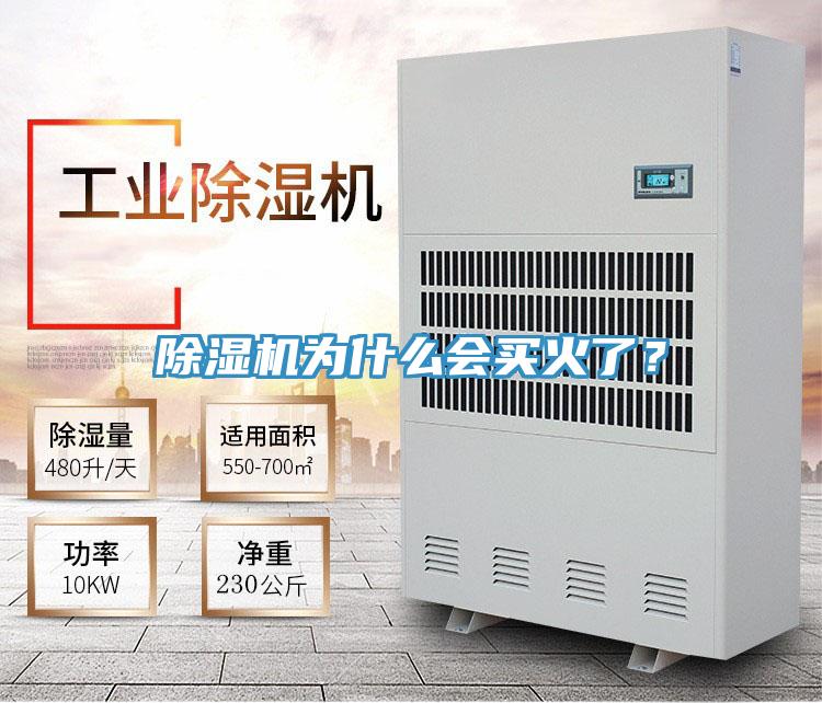 除濕機(jī)為什么會(huì)買火了？