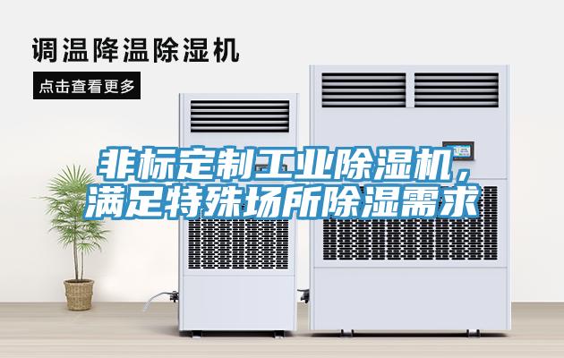 非標(biāo)定制工業(yè)除濕機(jī)，滿足特殊場(chǎng)所除濕需求