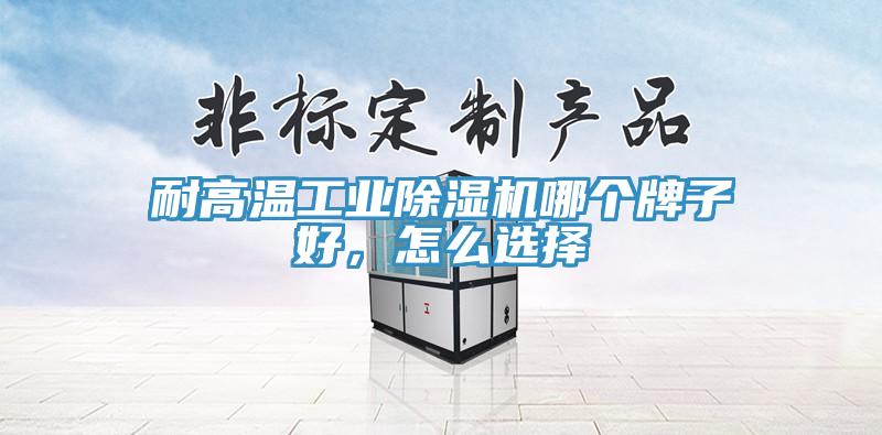 耐高溫工業(yè)除濕機(jī)哪個牌子好，怎么選擇