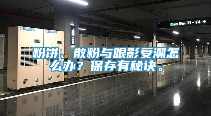 粉餅、散粉與眼影受潮怎么辦？保存有秘訣。