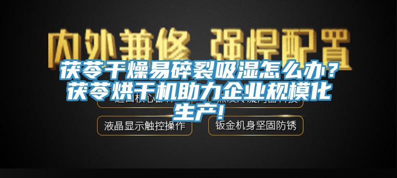 茯苓干燥易碎裂吸濕怎么辦？茯苓烘干機(jī)助力企業(yè)規(guī)?；a(chǎn)!