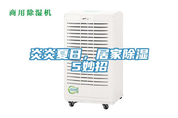 炎炎夏日，居家除濕5妙招