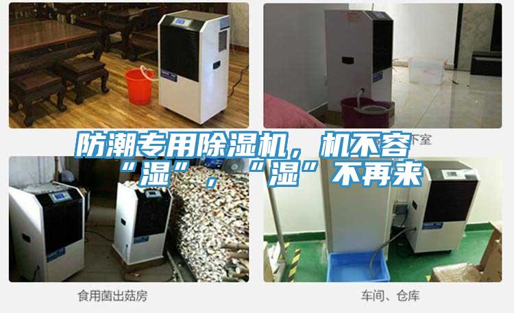 防潮專用除濕機(jī)，機(jī)不容“濕”，“濕”不再來