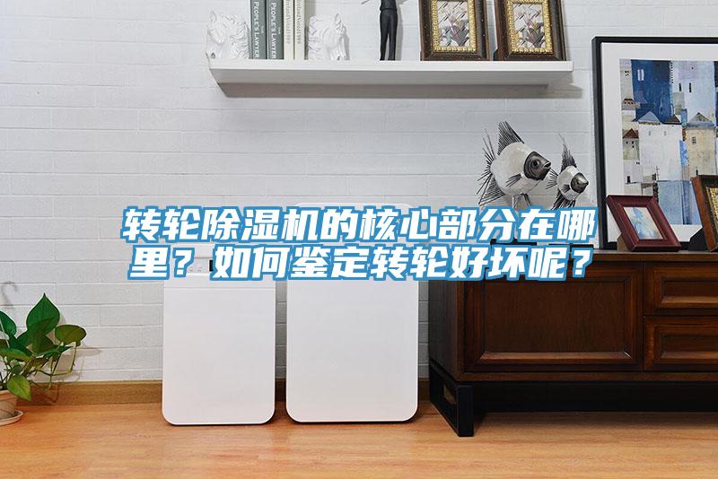 轉(zhuǎn)輪除濕機(jī)的核心部分在哪里？如何鑒定轉(zhuǎn)輪好壞呢？