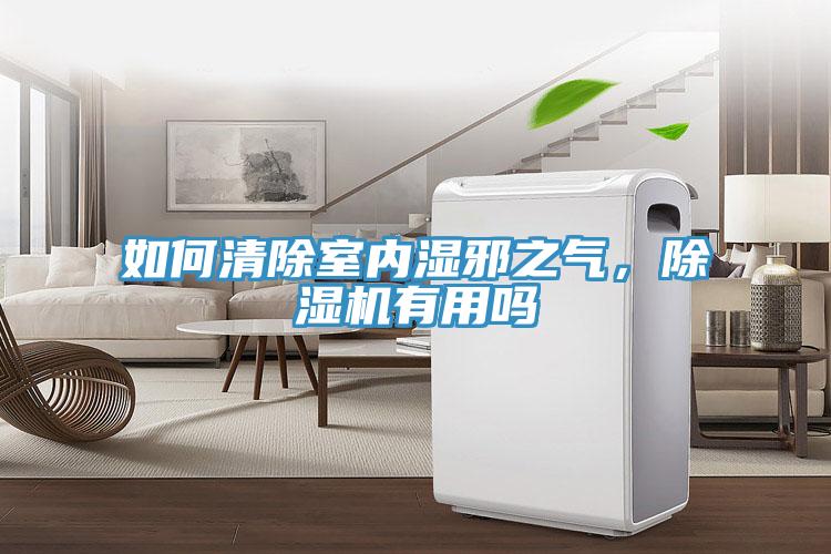 如何清除室內(nèi)濕邪之氣，除濕機(jī)有用嗎