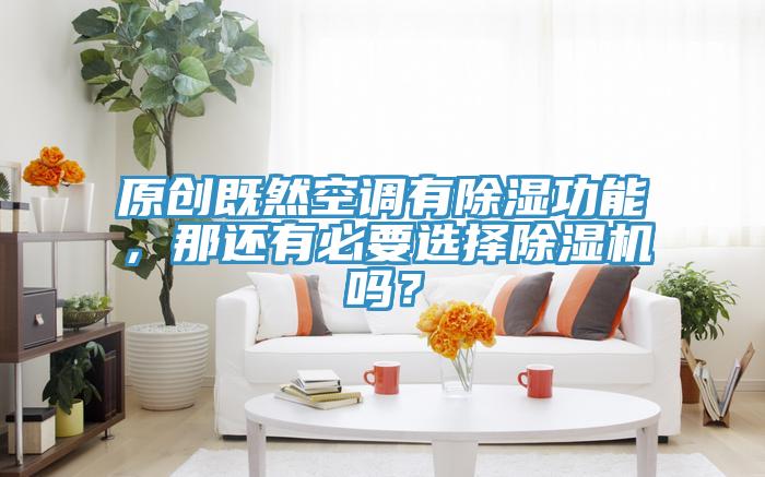 原創(chuàng)既然空調(diào)有除濕功能，那還有必要選擇除濕機嗎？