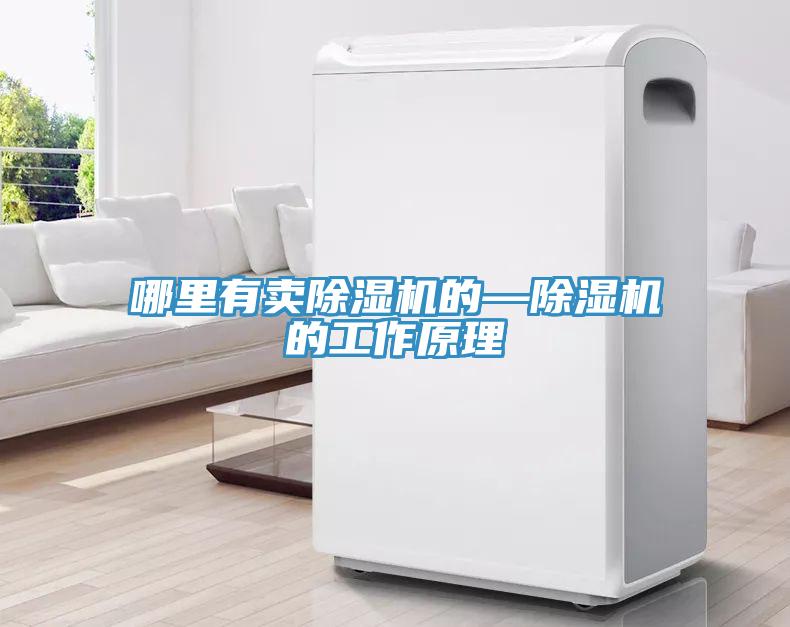 哪里有賣(mài)除濕機(jī)的—除濕機(jī)的工作原理
