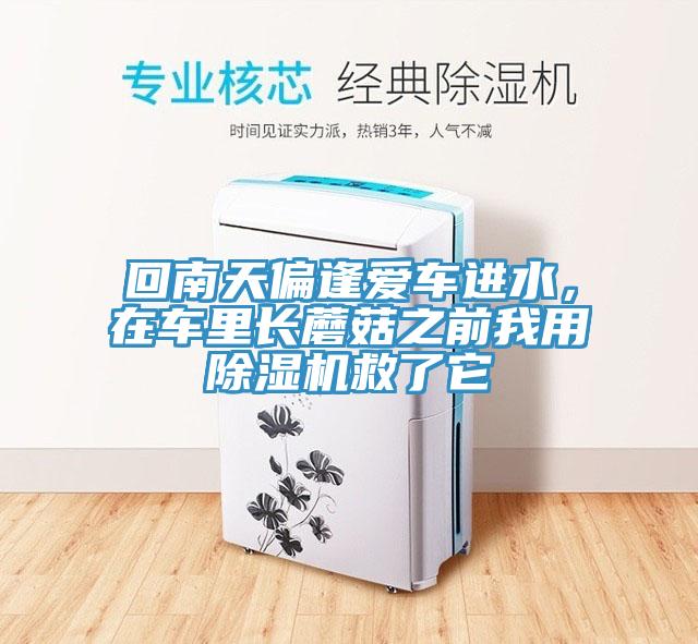 回南天偏逢愛車進(jìn)水，在車?yán)镩L(zhǎng)蘑菇之前我用除濕機(jī)救了它