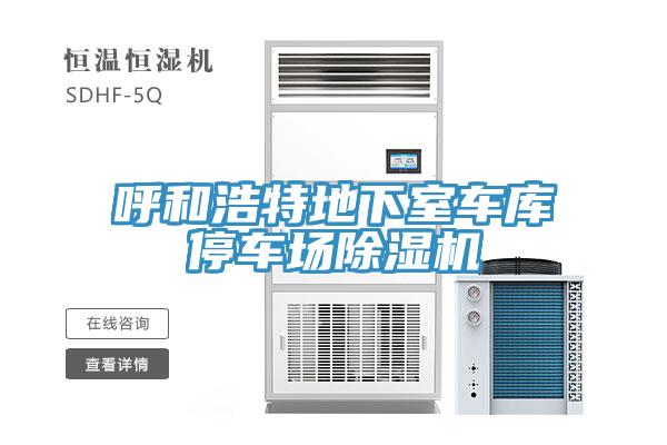 呼和浩特地下室車(chē)庫(kù)停車(chē)場(chǎng)除濕機(jī)