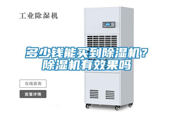 多少錢能買到除濕機？除濕機有效果嗎