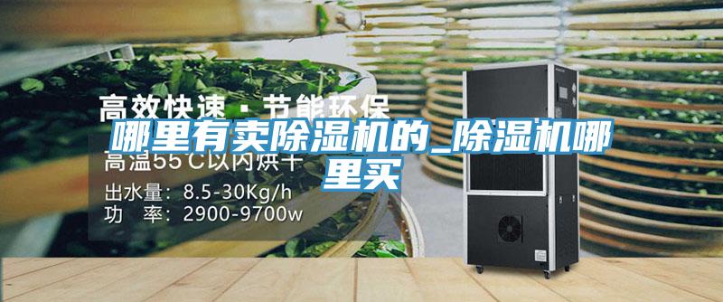 哪里有賣(mài)除濕機(jī)的_除濕機(jī)哪里買(mǎi)