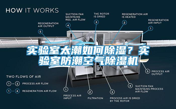實驗室太潮如何除濕？實驗室防潮空氣除濕機