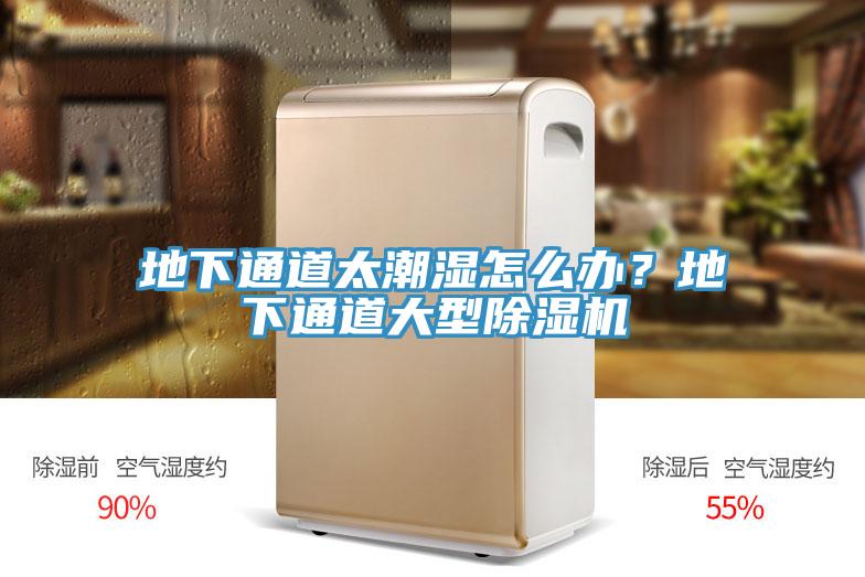 地下通道太潮濕怎么辦？地下通道大型除濕機(jī)