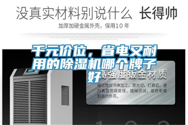 千元價位，省電又耐用的除濕機哪個牌子好