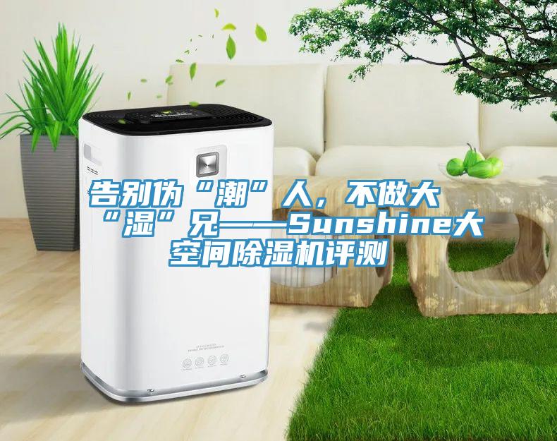 告別偽“潮”人，不做大“濕”兄——Sunshine大空間除濕機(jī)評(píng)測(cè)