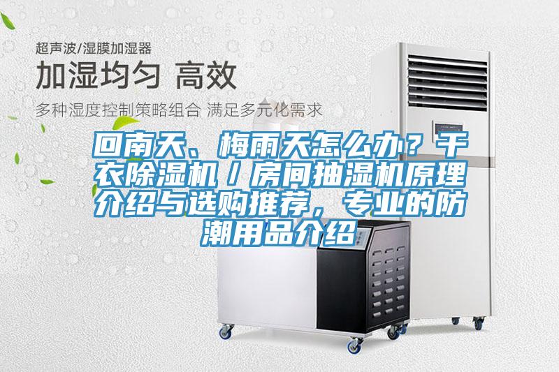 回南天、梅雨天怎么辦？干衣除濕機(jī)／房間抽濕機(jī)原理介紹與選購(gòu)?fù)扑]，專業(yè)的防潮用品介紹