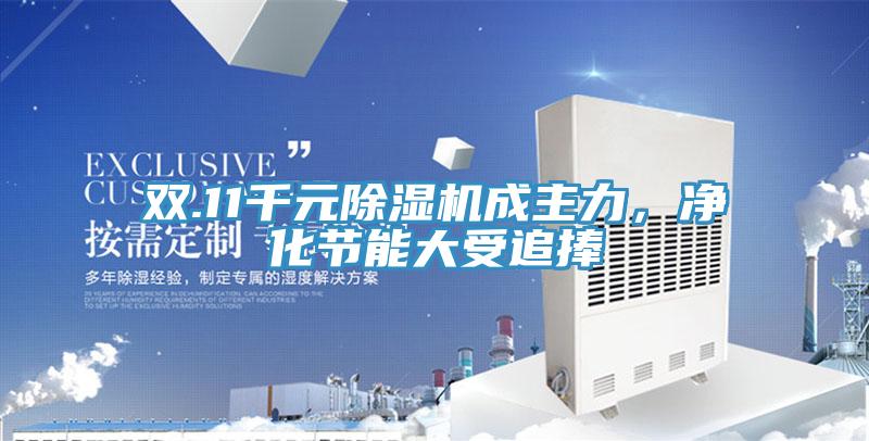 雙.11千元除濕機成主力，凈化節(jié)能大受追捧