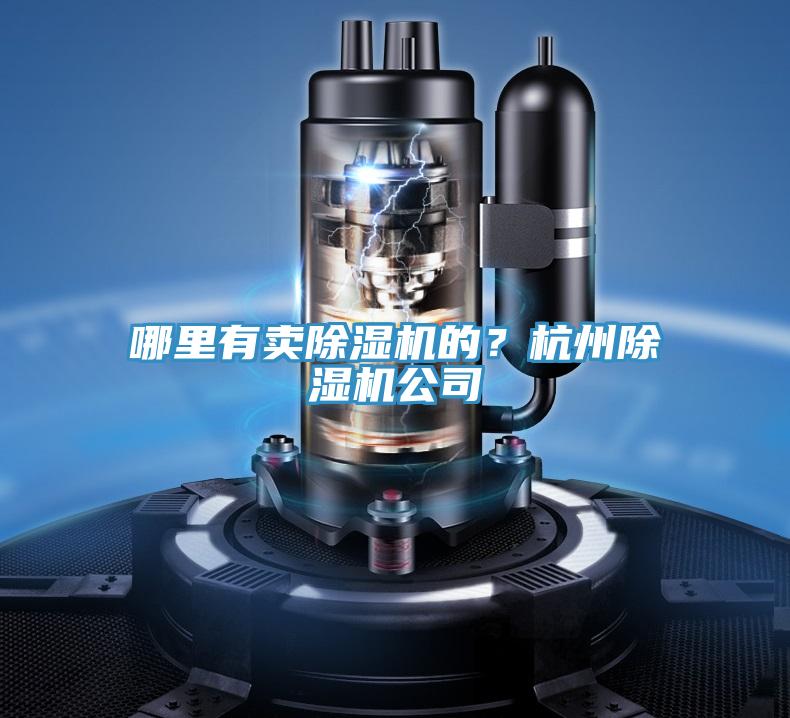 哪里有賣(mài)除濕機(jī)的？杭州除濕機(jī)公司