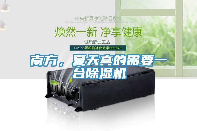 南方，夏天真的需要一臺除濕機