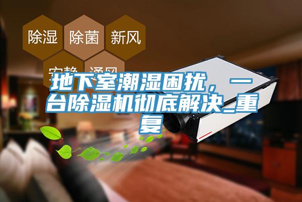 地下室潮濕困擾，一臺除濕機徹底解決_重復