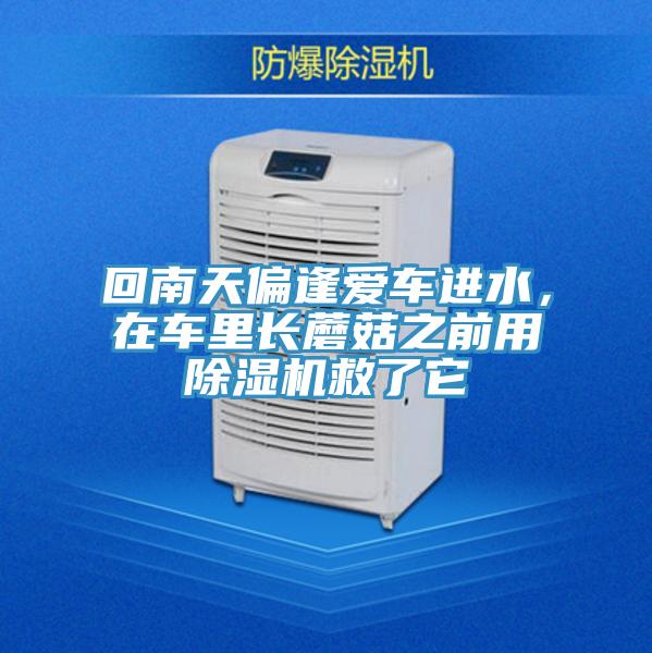 回南天偏逢愛車進(jìn)水，在車?yán)镩L(zhǎng)蘑菇之前用除濕機(jī)救了它