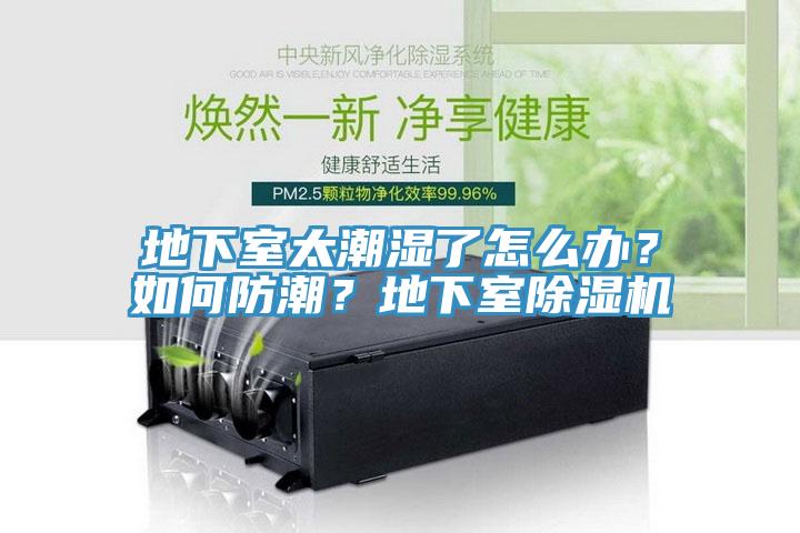 地下室太潮濕了怎么辦？如何防潮？地下室除濕機(jī)