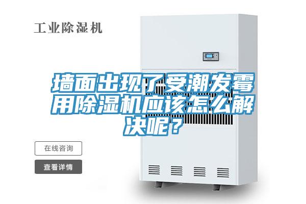 墻面出現(xiàn)了受潮發(fā)霉用除濕機應(yīng)該怎么解決呢？