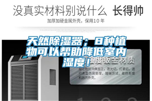 天然除濕器；8種植物可以幫助降低室內濕度！