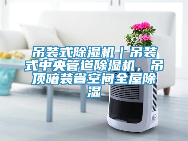 吊裝式除濕機｜吊裝式中央管道除濕機，吊頂暗裝省空間全屋除濕