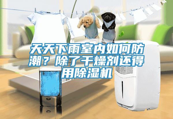 天天下雨室內(nèi)如何防潮？除了干燥劑還得用除濕機(jī)