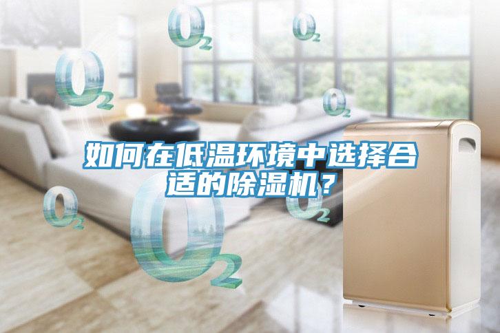 如何在低溫環(huán)境中選擇合適的除濕機？
