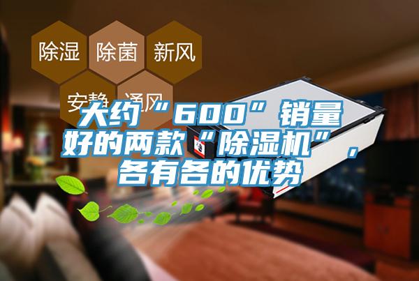 大約“600”銷量好的兩款“除濕機”，各有各的優(yōu)勢