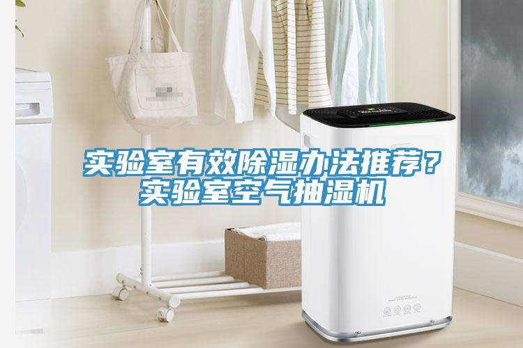 實驗室有效除濕辦法推薦？實驗室空氣抽濕機