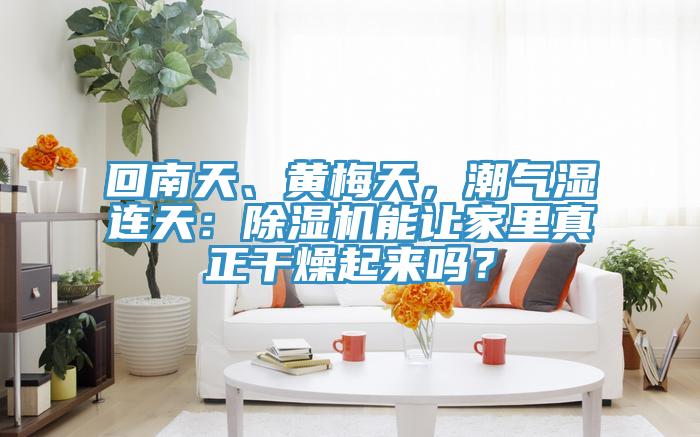 回南天、黃梅天，潮氣濕連天：除濕機(jī)能讓家里真正干燥起來(lái)嗎？