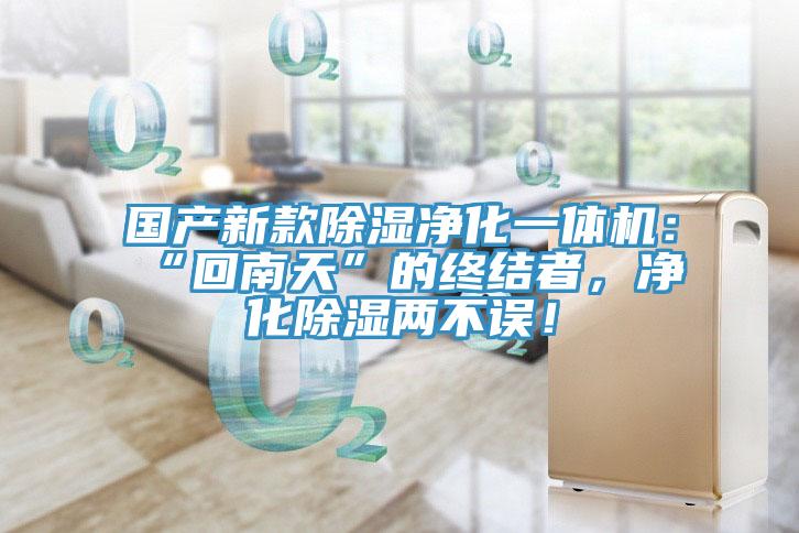 國(guó)產(chǎn)新款除濕凈化一體機(jī)：“回南天”的終結(jié)者，凈化除濕兩不誤！