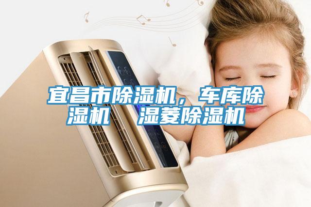 宜昌市除濕機(jī)，車(chē)庫(kù)除濕機(jī)  濕菱除濕機(jī)